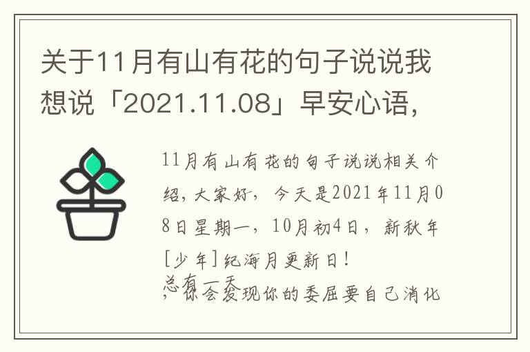 关于11月有山有花的句子说说我想说「2021.11.08」早安心语，正能量努力奋斗语录句子朋友圈说说图片