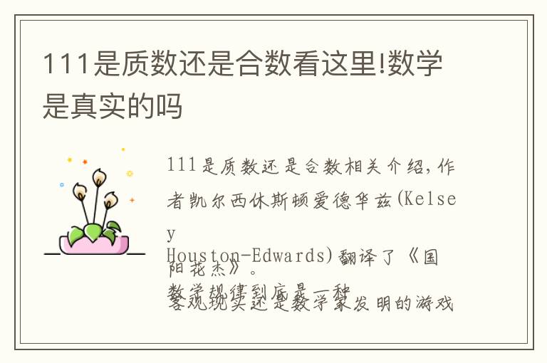 111是质数还是合数看这里!数学是真实的吗