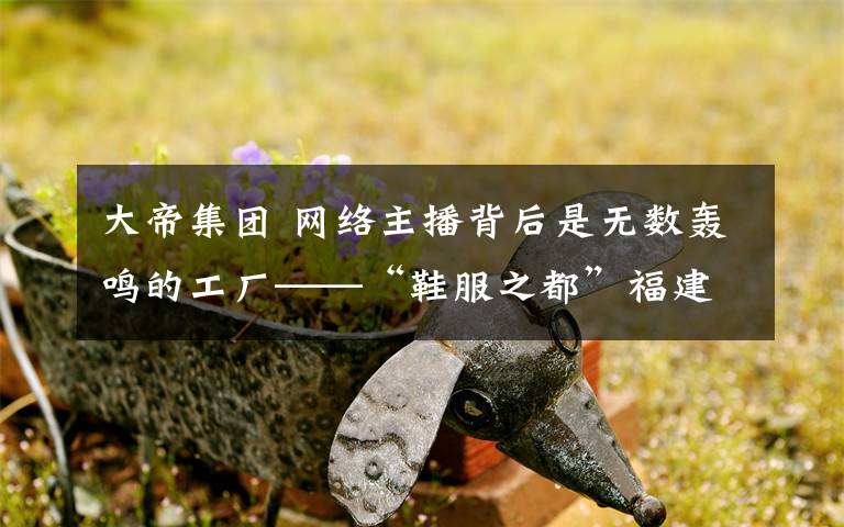 大帝集团 网络主播背后是无数轰鸣的工厂——“鞋服之都”福建石狮打造“网红城市”调查