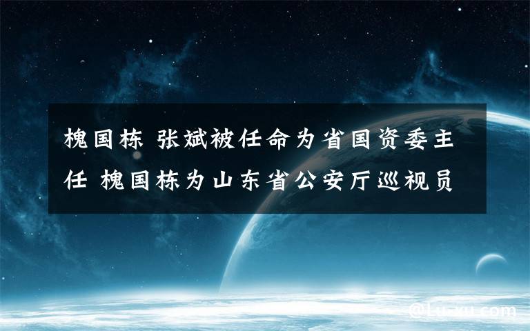 槐国栋 张斌被任命为省国资委主任 槐国栋为山东省公安厅巡视员