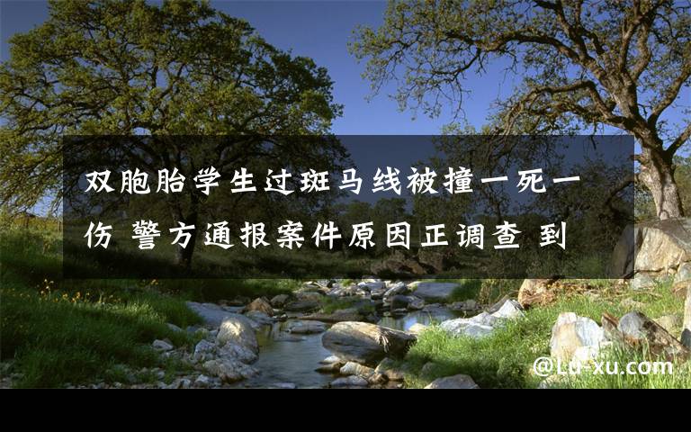 双胞胎学生过斑马线被撞一死一伤 警方通报案件原因正调查 到底什么情况呢？