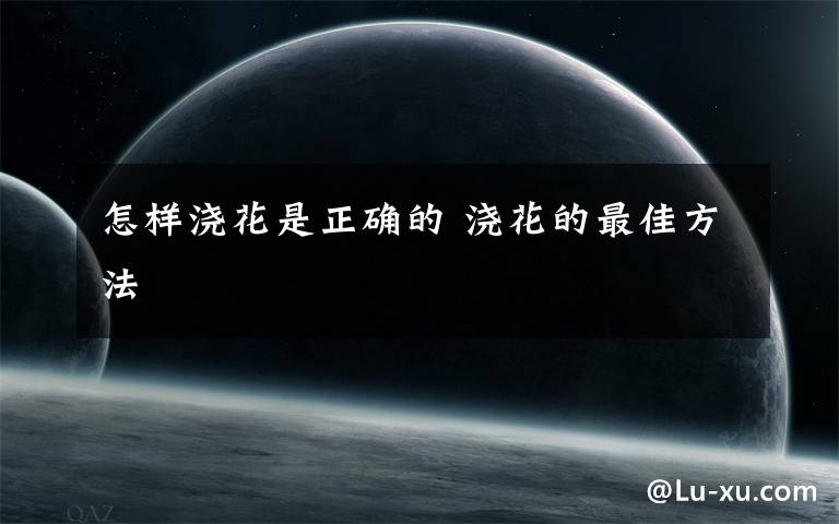 怎样浇花是正确的 浇花的最佳方法