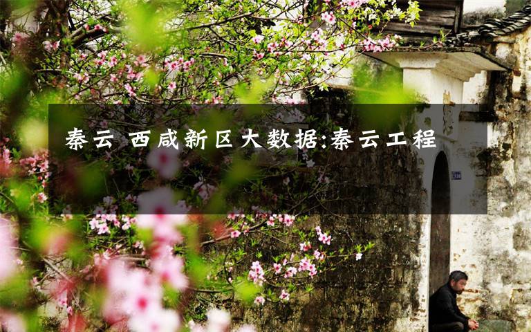 秦云 西咸新区大数据:秦云工程
