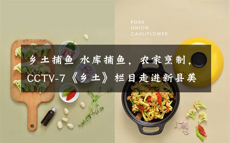 乡土捕鱼 水库捕鱼，农家烹制，CCTV-7《乡土》栏目走进新县美丽乡村西河，带您体验两道绝妙的信阳养生菜！