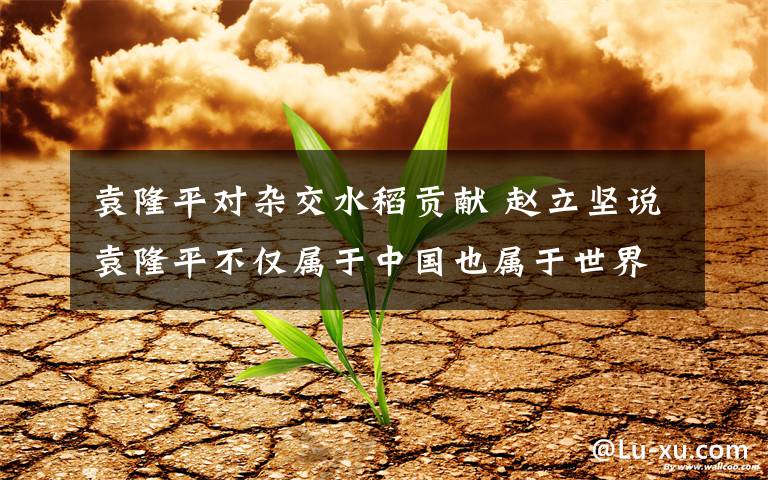 袁隆平对杂交水稻贡献 赵立坚说袁隆平不仅属于中国也属于世界 到底是什么状况？