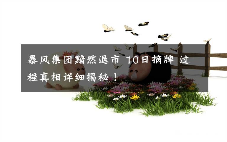 暴风集团黯然退市 10日摘牌 过程真相详细揭秘！