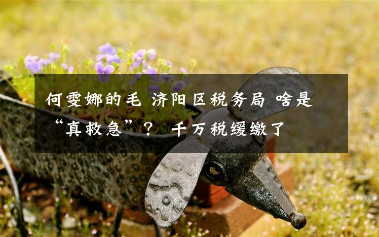 何雯娜的毛 济阳区税务局 啥是“真救急”？ 千万税缓缴了