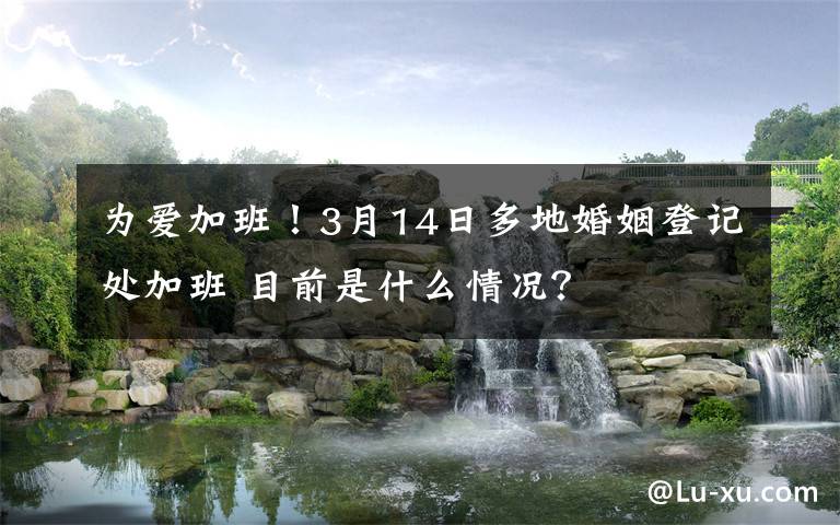 为爱加班！3月14日多地婚姻登记处加班 目前是什么情况？