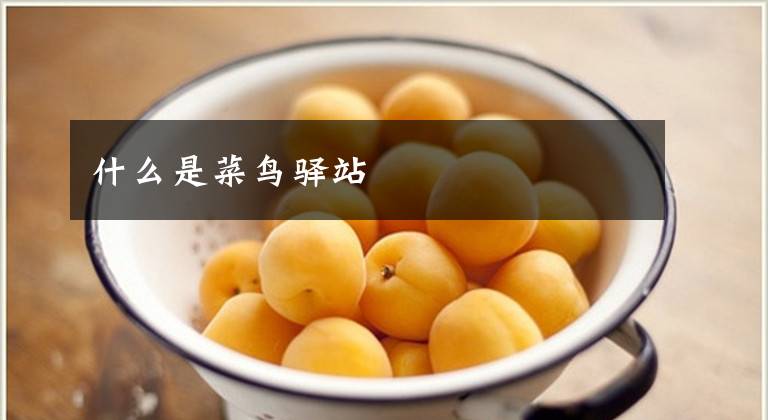 什么是菜鸟驿站