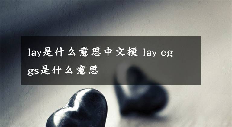 lay是什么意思中文梗 lay eggs是什么意思