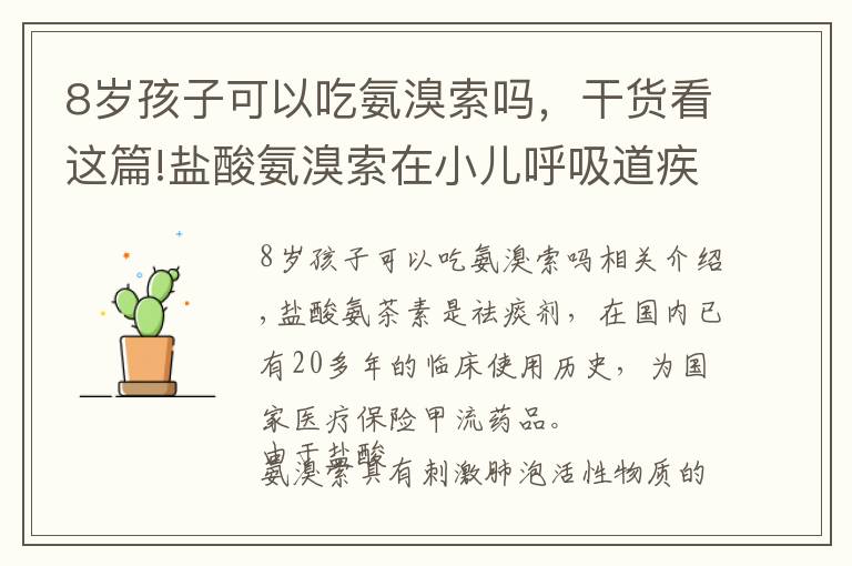 8岁孩子可以吃氨溴索吗，干货看这篇!盐酸氨溴索在小儿呼吸道疾病治疗中的应用