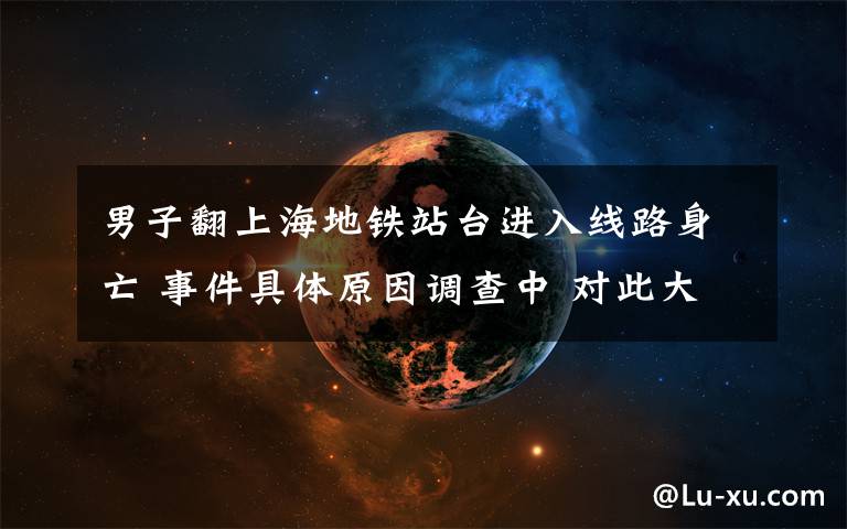 男子翻上海地铁站台进入线路身亡 事件具体原因调查中 对此大家怎么看？