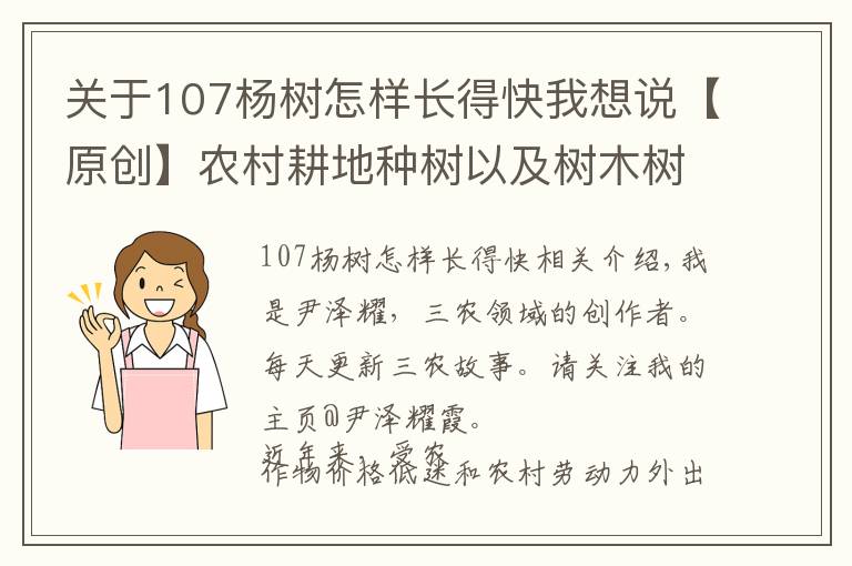 关于107杨树怎样长得快我想说【原创】农村耕地种树以及树木树荫遮挡庄稼问题探究