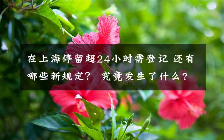 在上海停留超24小时需登记 还有哪些新规定？ 究竟发生了什么?