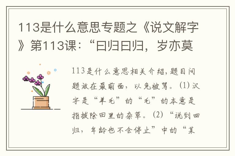 113是什么意思专题之《说文解字》第113课：“曰归曰归，岁亦莫止”，“莫”是何意？