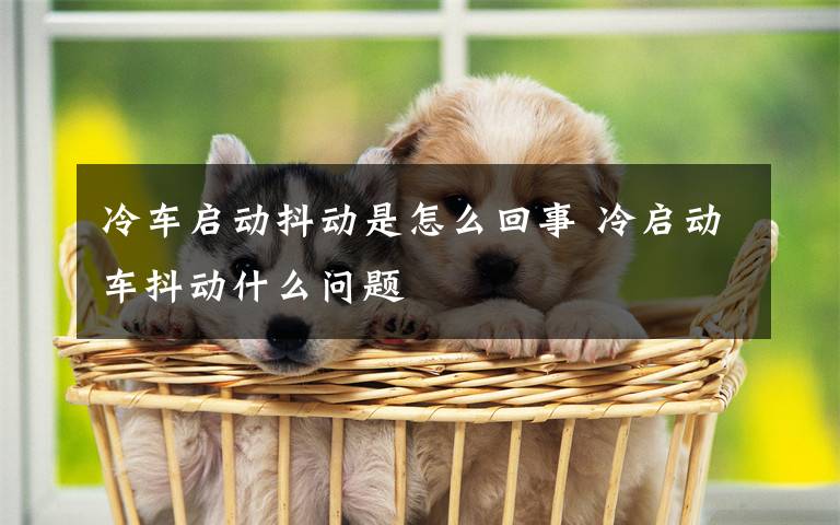 冷车启动抖动是怎么回事 冷启动车抖动什么问题
