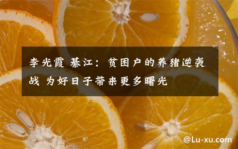 李光霞 綦江：贫困户的养猪逆袭战 为好日子带来更多曙光