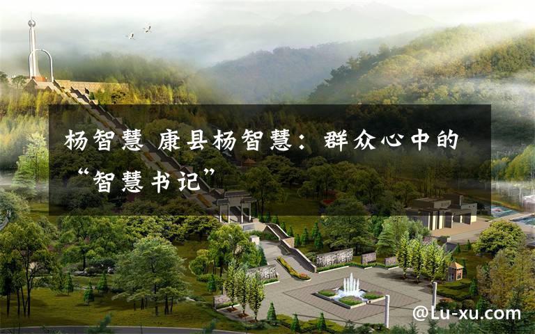 杨智慧 康县杨智慧：群众心中的“智慧书记”