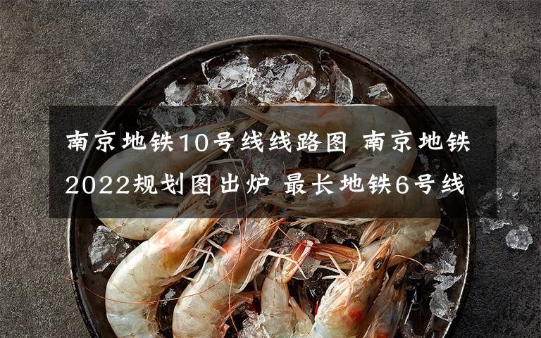 南京地铁10号线线路图 南京地铁2022规划图出炉 最长地铁6号线达70公里