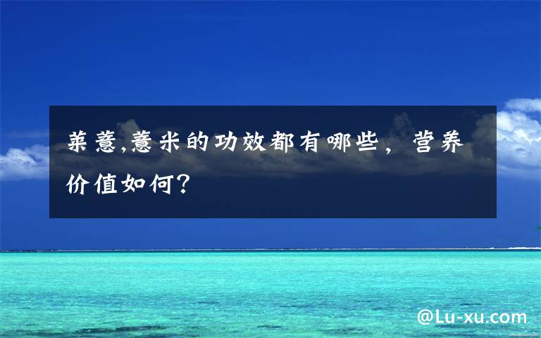 莱薏,薏米的功效都有哪些，营养价值如何？