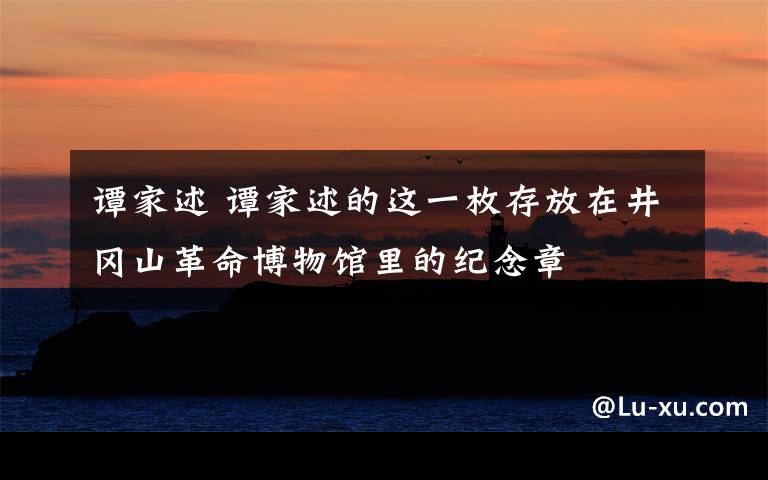 谭家述 谭家述的这一枚存放在井冈山革命博物馆里的纪念章
