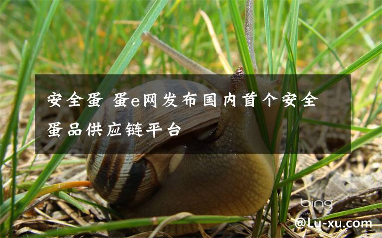 安全蛋 蛋e网发布国内首个安全蛋品供应链平台
