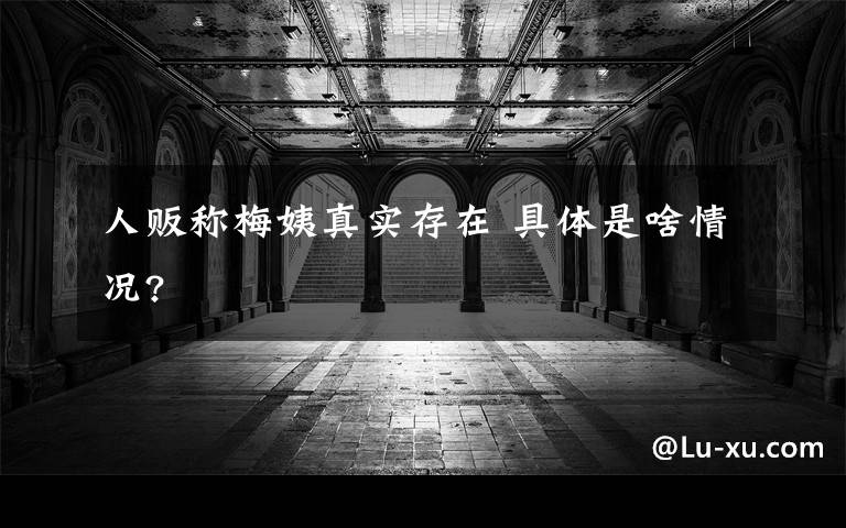 人贩称梅姨真实存在 具体是啥情况?