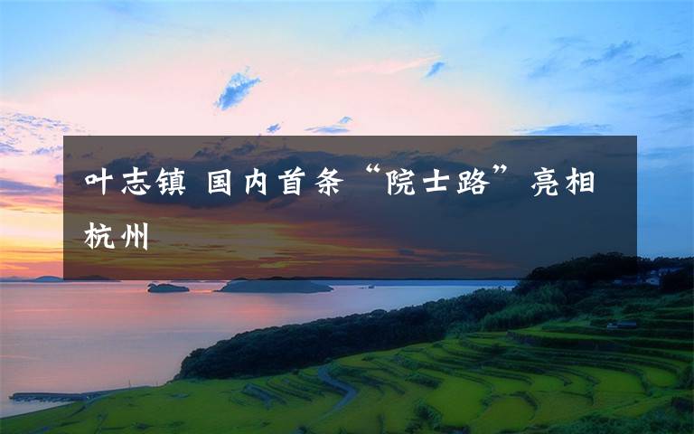 叶志镇 国内首条“院士路”亮相杭州