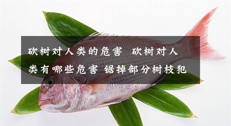 砍树对人类的危害 砍树对人类有哪些危害 锯掉部分树枝犯法吗