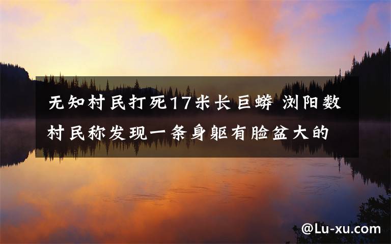无知村民打死17米长巨蟒 浏阳数村民称发现一条身躯有脸盆大的金色巨蟒