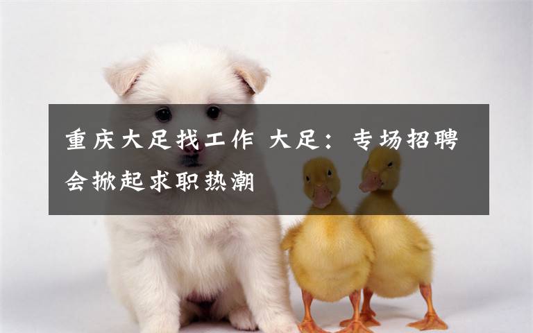 重庆大足找工作 大足：专场招聘会掀起求职热潮