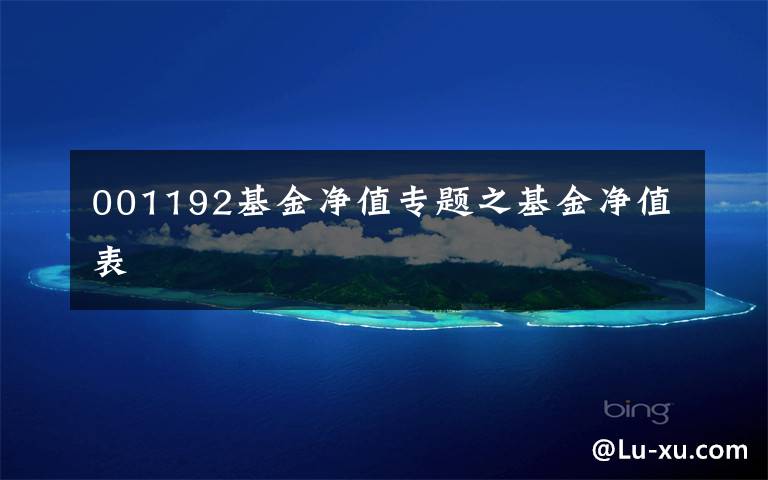 001192基金净值专题之基金净值表
