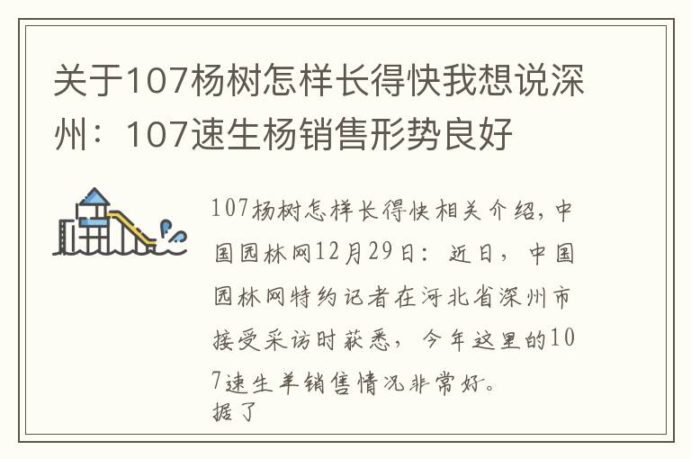 关于107杨树怎样长得快我想说深州：107速生杨销售形势良好