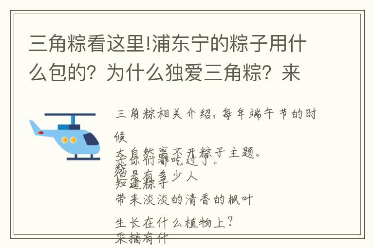 三角粽看这里!浦东宁的粽子用什么包的？为什么独爱三角粽？来听民俗专家怎么说
