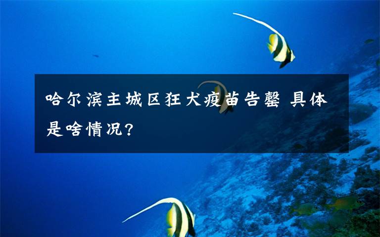 哈尔滨主城区狂犬疫苗告罄 具体是啥情况?