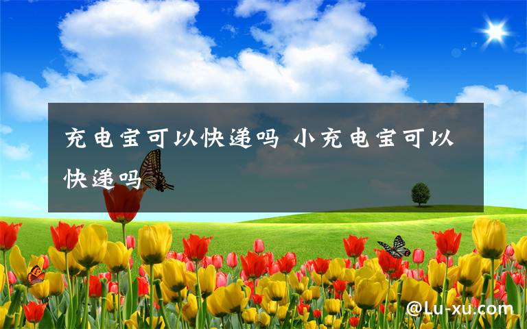 充电宝可以快递吗 小充电宝可以快递吗