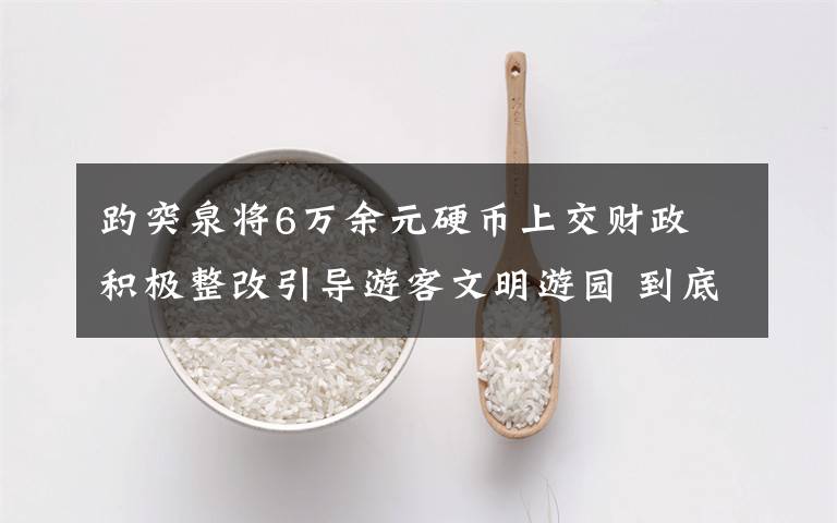 趵突泉将6万余元硬币上交财政 积极整改引导游客文明游园 到底是什么状况？