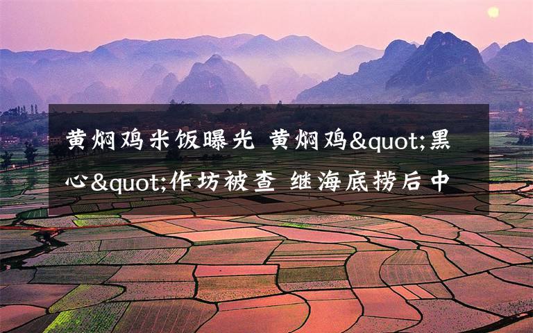 黄焖鸡米饭曝光 黄焖鸡"黑心"作坊被查 继海底捞后中国餐饮又一“巨头”又出事