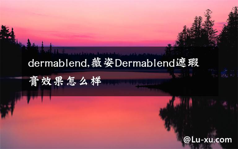 dermablend,薇姿Dermablend遮瑕膏效果怎么样