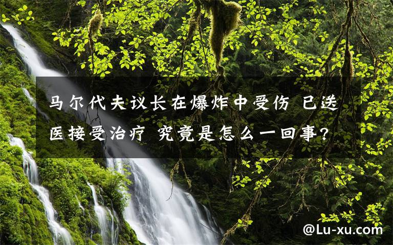 马尔代夫议长在爆炸中受伤 已送医接受治疗 究竟是怎么一回事?