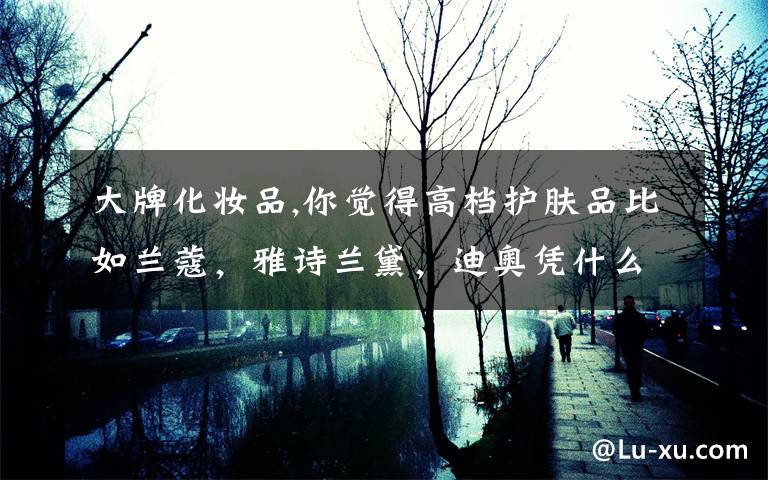 大牌化妆品,你觉得高档护肤品比如兰蔻，雅诗兰黛，迪奥凭什么卖这么贵？