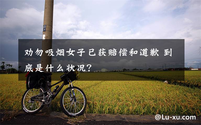劝勿吸烟女子已获赔偿和道歉 到底是什么状况？