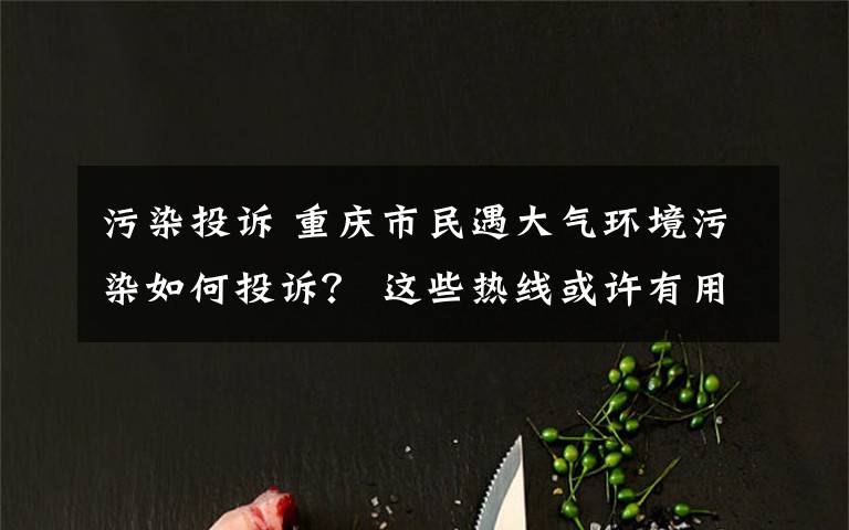 污染投诉 重庆市民遇大气环境污染如何投诉？ 这些热线或许有用