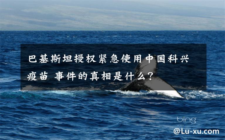 巴基斯坦授权紧急使用中国科兴疫苗 事件的真相是什么？