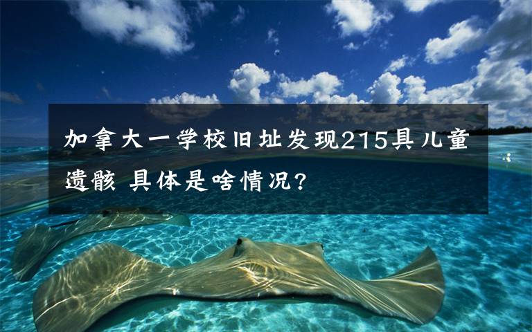 加拿大一学校旧址发现215具儿童遗骸 具体是啥情况?