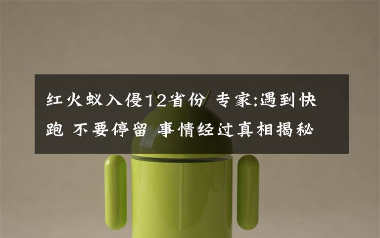 红火蚁入侵12省份 专家:遇到快跑 不要停留 事情经过真相揭秘！