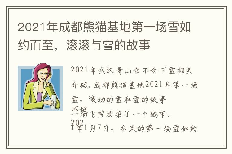 2021年成都熊猫基地第一场雪如约而至，滚滚与雪的故事