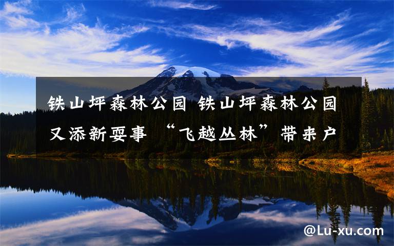 铁山坪森林公园 铁山坪森林公园又添新耍事 “飞越丛林”带来户外挑战新体验