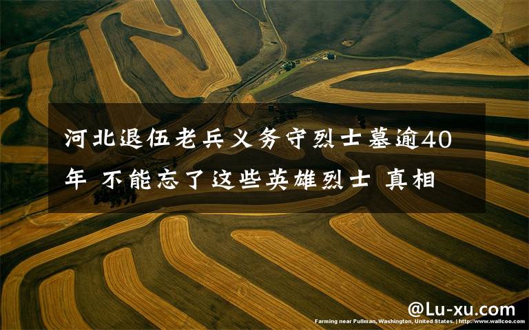 河北退伍老兵义务守烈士墓逾40年 不能忘了这些英雄烈士 真相到底是怎样的？