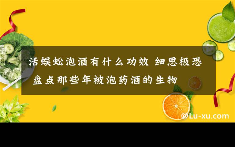 活蜈蚣泡酒有什么功效 细思极恐 盘点那些年被泡药酒的生物
